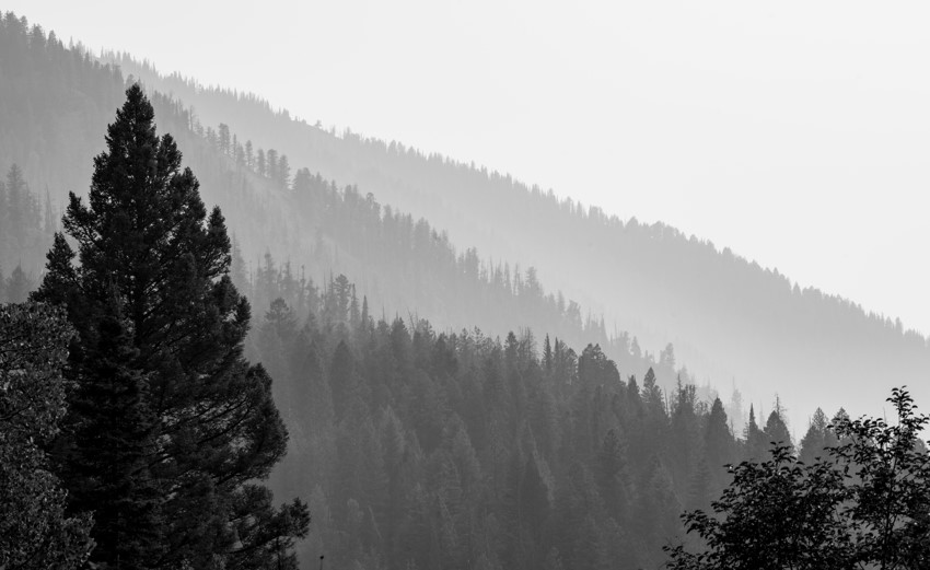 Air Quality